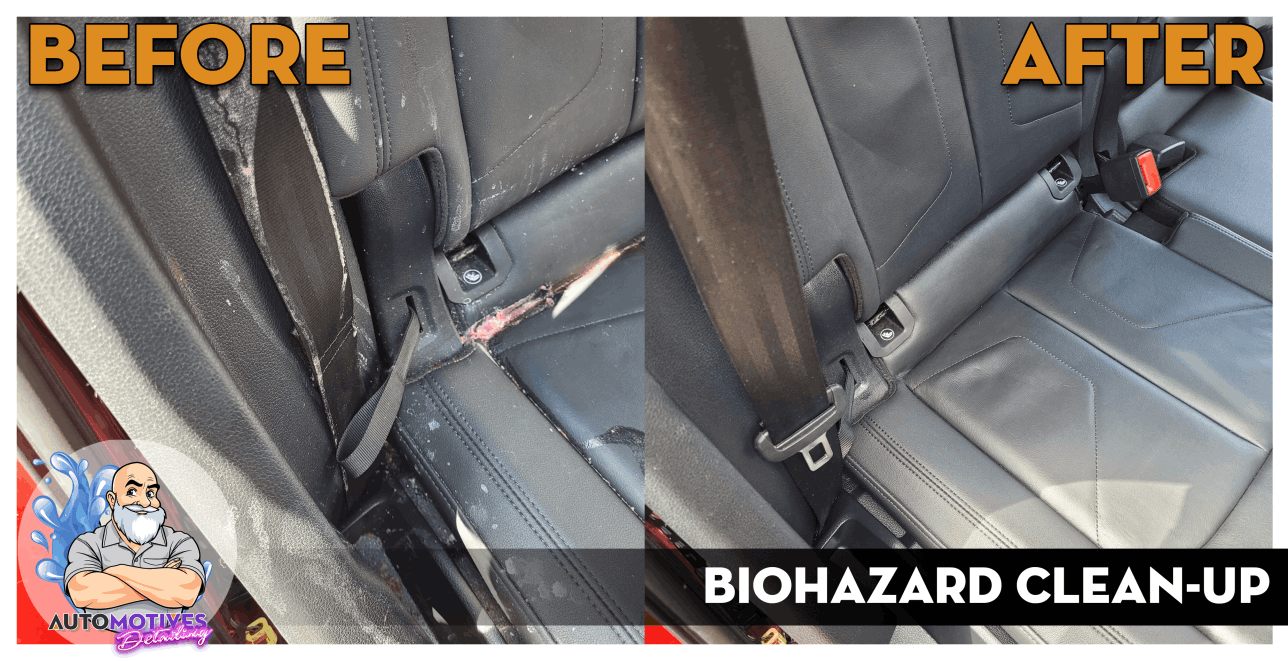 Before/After Biohazard Clean-Up